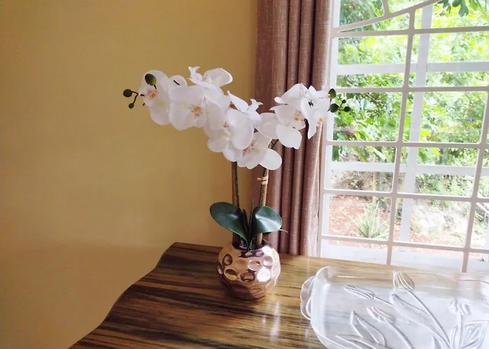Apartment Charming Spacious Relaxing In