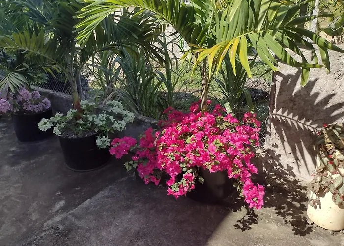 Apartment Charming Spacious Relaxing In *